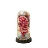 Gold foil rose eternal flower glass cover night light for girlfriend birthday gift Valentine's Day decoration ornament