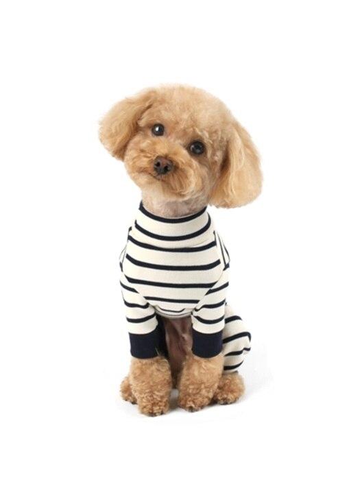 WE.FAM Dangara All-in-One (Ivory & Navy)