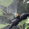 Система распыления охлаждающей воды для патио, распылителя тумана для теплицы, садовых цветов, растений, поливочного кольца, распылителя, спринклера