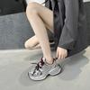Mesh Dad Shoes Women's Spring New Fried Street Sports Style Casual Shoes Thick-soled Breathable Running Shoes Tide