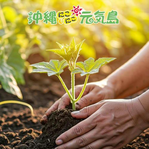 Bitter Melon Powder, Ryukyu Bitter Melon Powder, 40g X 1 Bag, 100% Okinawan Produce, Made In Japan, Additive-Free, Caffeine-Free, Green Juice, Bitter