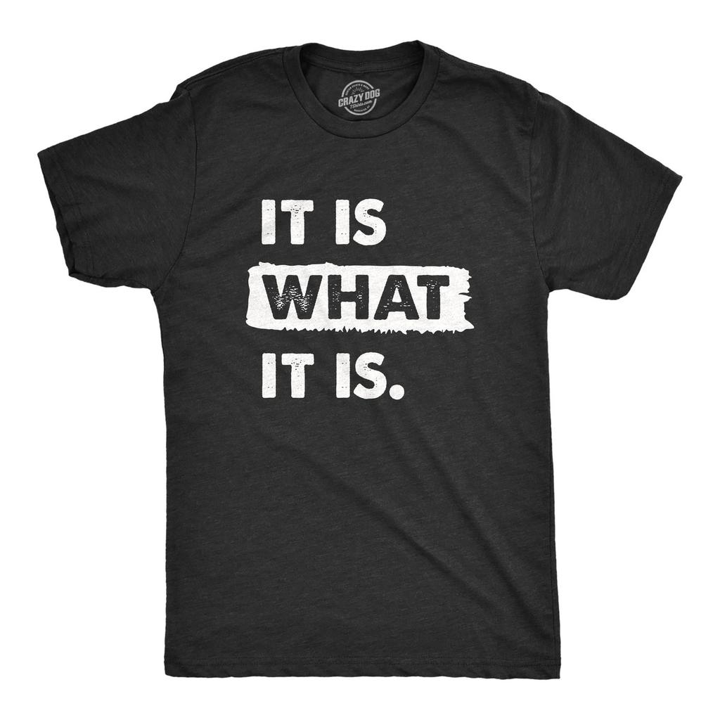 Mens It Is What It Is T Shirt Funny Sarcastic Accepting Coping Saying Tee for