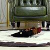 Корейская версия Удобные Низкий каблук Тапочки на танкетке Универсальные Замша Мелкий вырез Металлическая декоративная эластичная лямка Одна лямка Однотонные туфли