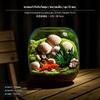 Стеклянный аквариум для рыбок на стол, 2 шт., Мини-аквариум для петушка, Экологичная водная среда обитания для офиса, Маленький, В15 см