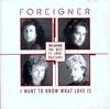 CD FOREIGNER - The Best of Foreigner  7567808912 Atlantic, EastW 1998 Japan Rock Used