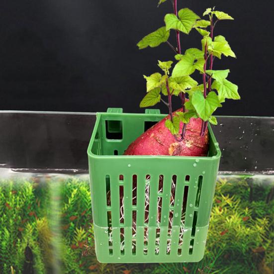 1/2/3/5/10 шт., держатель для аквариумных растений, подвесной горшок для аквариума с крючком, пластиковый стаканчик для водных растений для украшения акваскейпа