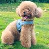 No-Pull Dog Harness Breathable Dog Harness with Reflective Leash Adjustable Fit Mesh Vest Harness