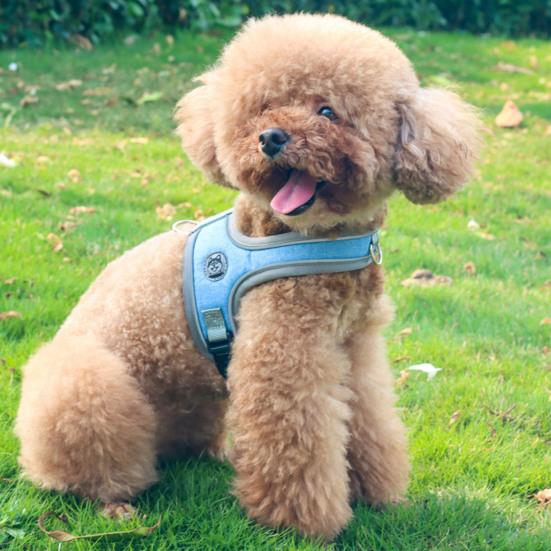 No-Pull Dog Harness Breathable Dog Harness with Reflective Leash Adjustable Fit Mesh Vest Harness