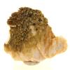 Wulfenite, Mimetite, Baryte 46.2 Carats
