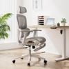 Deli KF258-J Ergonomic Office Chair