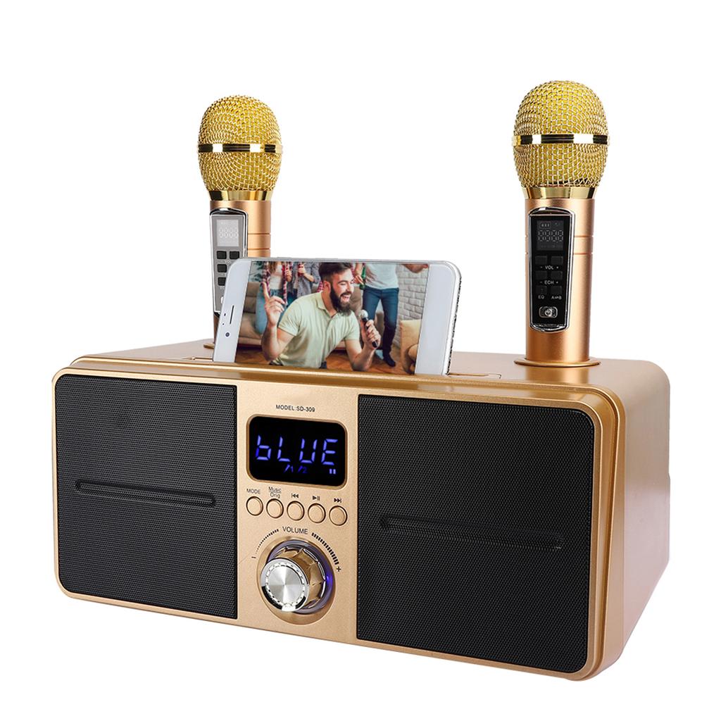 Family KTV High Quality Sound Kit Integrated Wireless Microphone Live Audio Card Bluetooth Karaoke