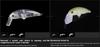 Jackall Timon Buri Buri Minnow F 40 мм плавающая приманка Pin розовый (6654)
