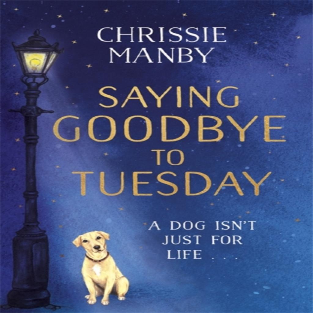 Saying Goodbye to Tuesday by Chrissie Manby Paperback Book 9781473682979