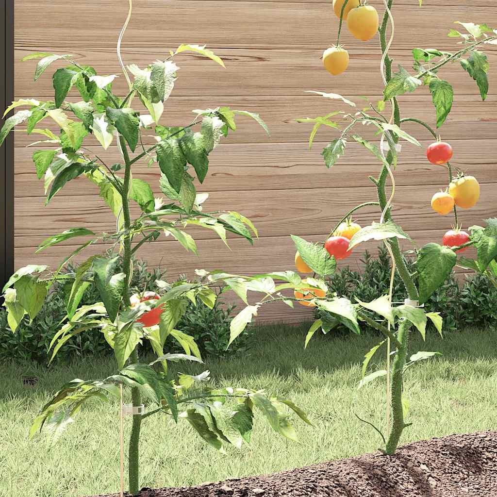 Tomato Spiral Stakes 20 Pcs 110 cm Galvanized Steel