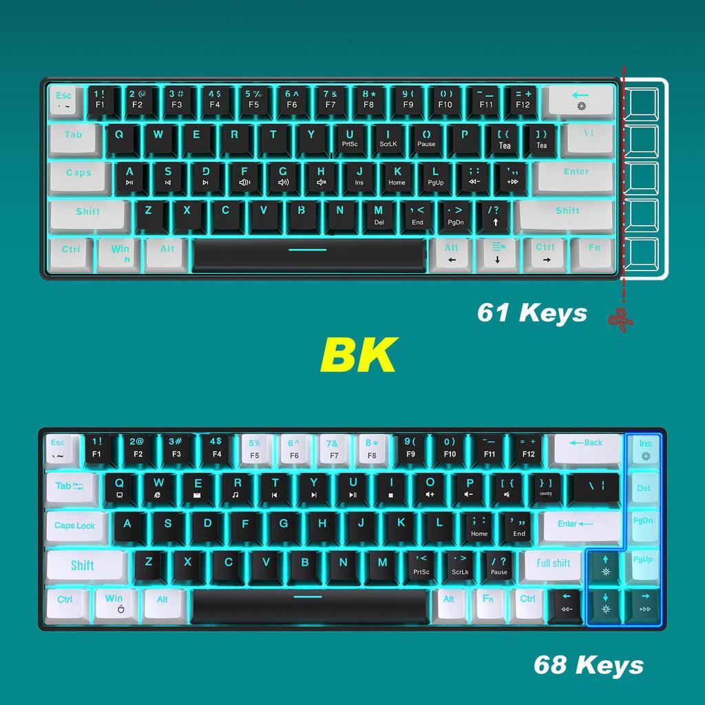 68-Key Wired Mechanical Gaming Keyboard with Hot-Swappable Blue Switches, Two-Color Keycaps, and Ice Blue Lighting