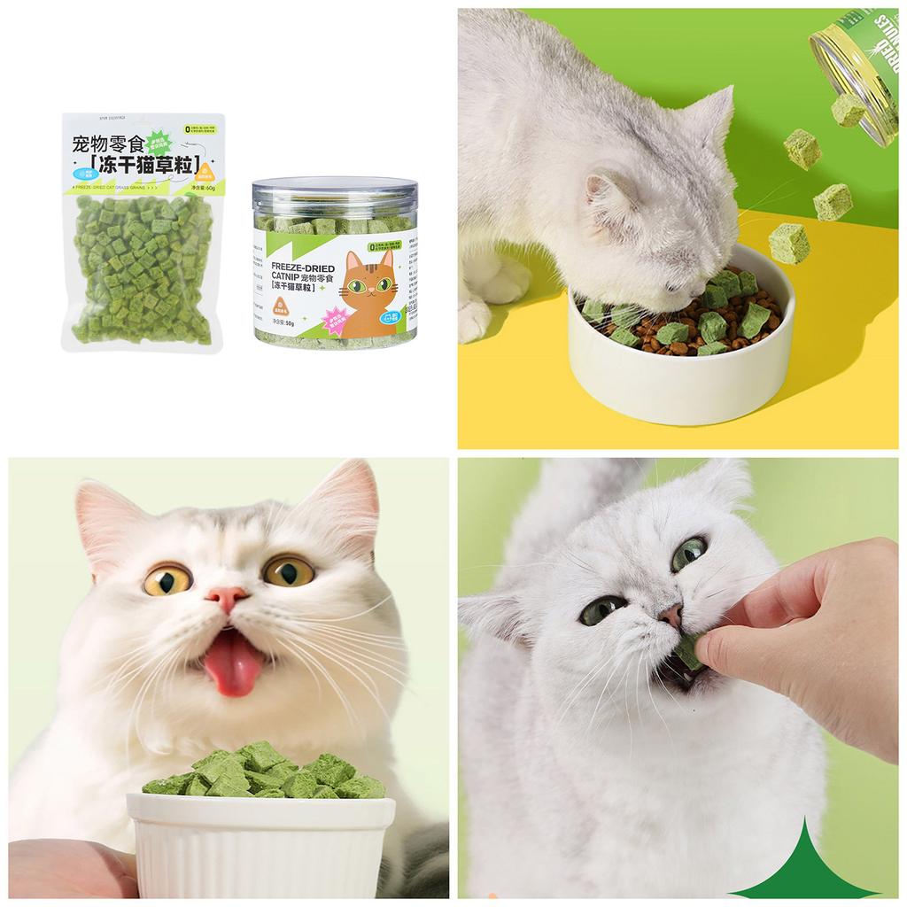 Grass Chew Snack for Cat Natural Grass Catnip Snack Cat Chewing Teething Treats Kitten Teeth Cleaning Snacks Cat Favor