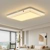 2025 Modern Acrylic Ceiling Light for Living Room or Master Bedroom