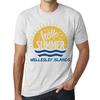 Мужская винтажная футболка Футболка с рисунком Time to Say Hello to Summer in Wellesley Islands Vintage White