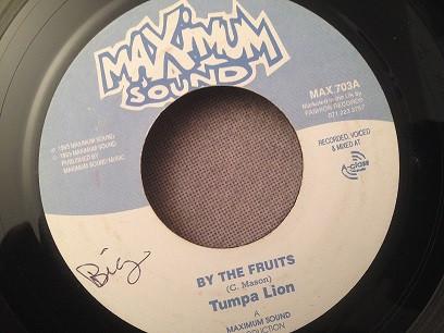 7inch Record TUMPA LION By The Fruits MAX703 Maximum Sound 1993 Jamaica Reggae Ska Dub Used