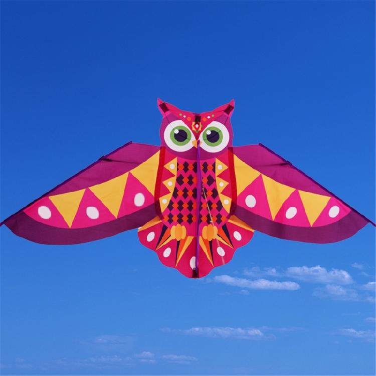 Owl Patterned Kites High Visibility Encourages Motor Skills Development Outdoor Exploration Gift