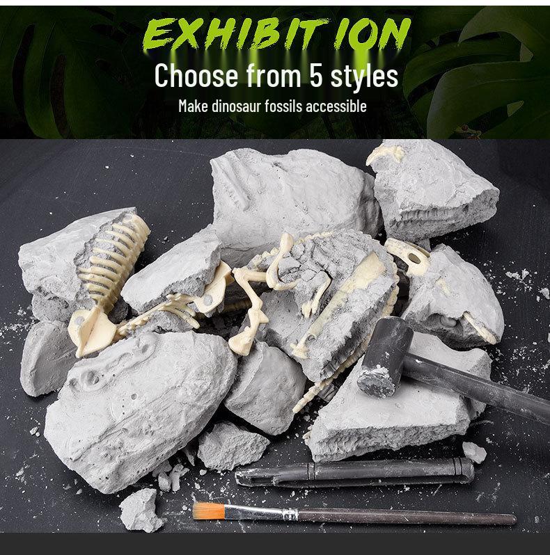 DIY Dinosaur Fossil Excavation Toy: Tyrannosaurus & Triceratops Skeleton Models for Kids