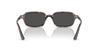 Солнцезащитные очки 0RB4455F ZURI HAVANA DARK GREY 13598751 Азиатская посадка Поляризованные [Ray-Ban] (Темно-серый)