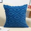 Square Throw Pillow Cover with Hidden Zipper Super Soft Wear Resistant Washable Non-Fading Decorative Pillowslip
