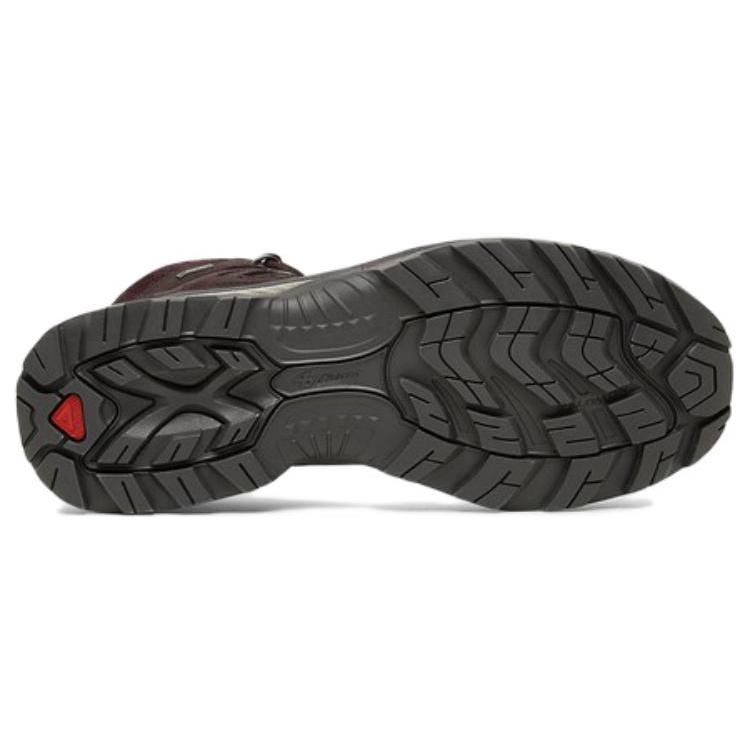 SALOMON Quest Gtx Advanced 'Коричневый' 417504