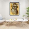 DIY 5D Diamond Painting Animal Full Round Cat Diamond Embroidery Art Rhinestone Picture Mosaic Decoration Gift Home Decor