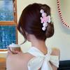 Large Hair Accessories Pink Hairclip Cute Hair Claws  Women/girls