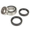 Rear Axle Bearing Kit 1013794 High Strength Rugged Reliable Axle Oil Seal Kit Replacement for Club Car DS Electric Golf