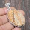 Picture Jasper Gemstone 925 Sterling Silver Handmade Wonderful Jewelry Pendant