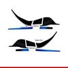 Набор эпоксидных наклеек для мотоцикла WuJi 525DSX 2024: Водонепроницаемые, устойчивые к царапинам 3D наклейки на бак