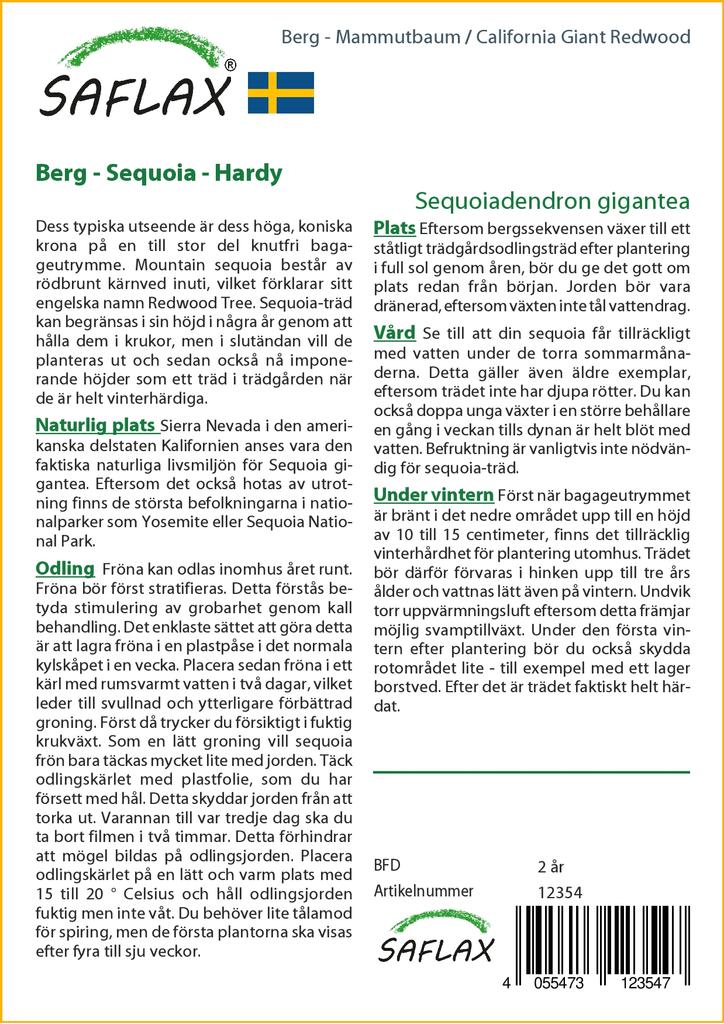 SAFLAX California Giant Redwood - 50 семян - С горшечным субстратом для лучшего выращивания - Sequoiadendron gigantea