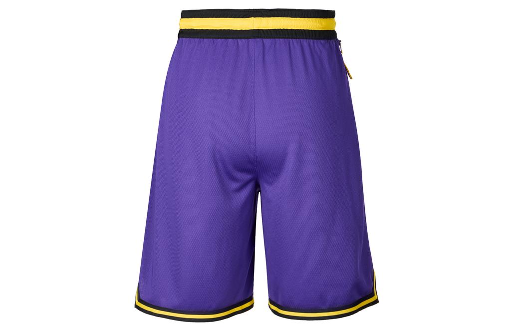 Nike Баскетбольные шорты мужские фиолетовые AV3537-504