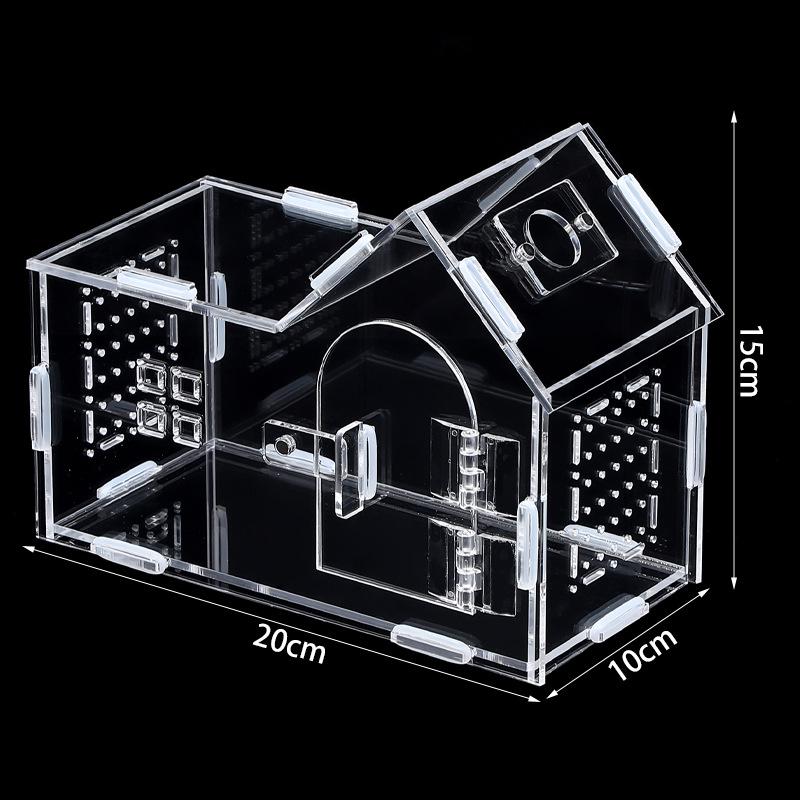 Small Acrylic Reptile Habitat: Transparent Observation Box for Spider, Lizard, Mantis, and Rainforest Landscape
