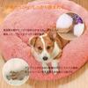 Pet Pet Pet Pet Round Donut Pet Sound Cold For Cats and Small Pet 4 Sizes Approximately 70cm Diameter Peto-Raifu Bed, Cushion, Mat, Sofa, Bed,