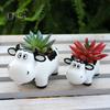 2 шт., смоляной горшок в форме коровы, горшок для суккулентов в виде животных, настольное украшение, цветочный горшок в виде мультяшной коровы для мини-растений, цветок кактуса