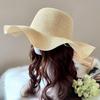 Three Dolphins Women's Summer Wide-Brim Straw Sun Hat