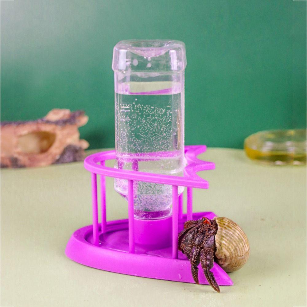 Accessories Turtle Food Container Lizard Food Bowel Reptile Feeder Tortoises Water Dispenser