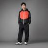 adidas Мужская ветровка Originals с капюшоном, двусторонняя, с принтом, цветовыми блоками, на молнии CW5168