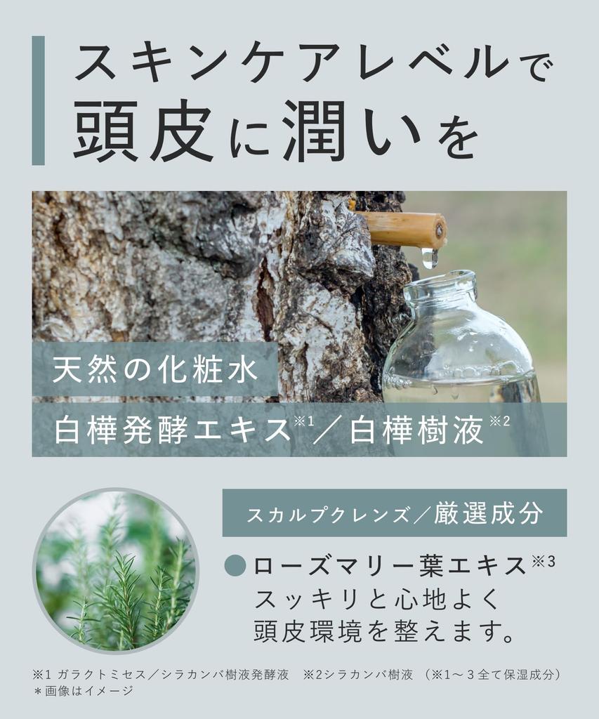 BOTANIST | Шампунь Очищение кожи головы 460 мл