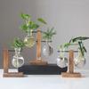 Simple Creative Hydroponic Wood Frame Small Vase Vase Decor Indoor Wooden Shelf Vase