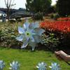 Plastic Windmill Colorful Garden Pinwheels Bird-Scaring Wind Spinner  Children