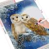 Diamond Embroidery Sale Owl Full Drill Square 5d Diamond Painting Winter Rhinestones