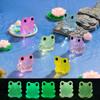 Micro Landscape Cute Glow-in-the-dark Frog Doll Decoration Accessories Resin Crafts Car Desktop Decoration