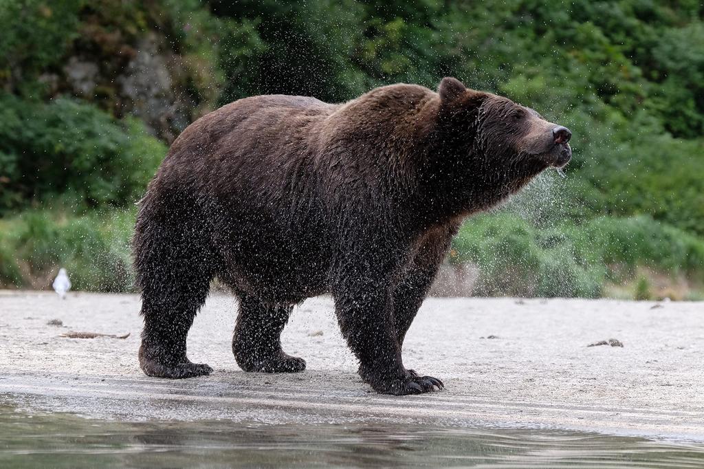 Fujifilm Телеконвертер Fujinon TC WR XF1.4X