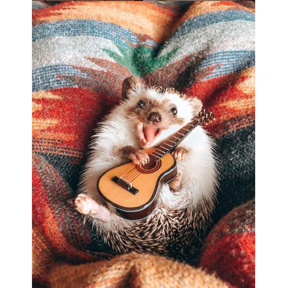 Алмазная 5D DIY алмазная живопись Ежик, гитара, мозаика, вышивка крестиком, художественный узор, алмазная вышивка, ремесло, украшение дома