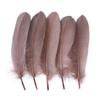 Natural Goose Feathers Dyed Multicolor Swan Feather for Crafts Wedding Jewelry Party Accessories 15-20cm/6-8 Inch