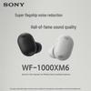 Полностью беспроводные наушники Sony WF-1000XM6 с шумоподавлением
